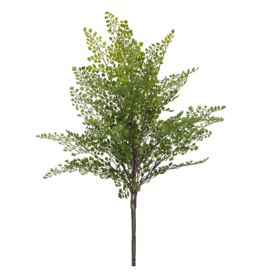 Home Smith Maidenhair Fern Bush Home Smith