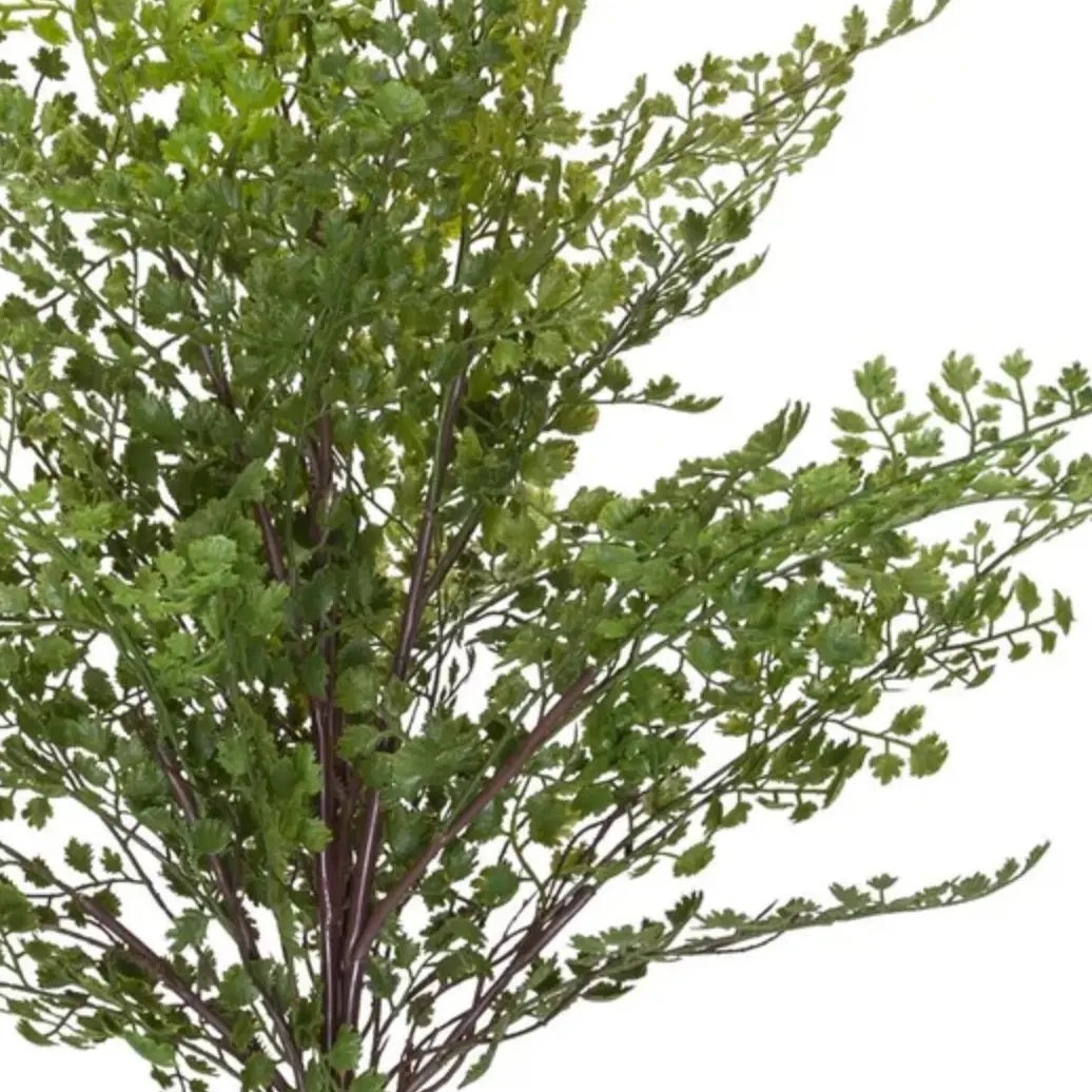 Home Smith Maidenhair Fern Bush Home Smith