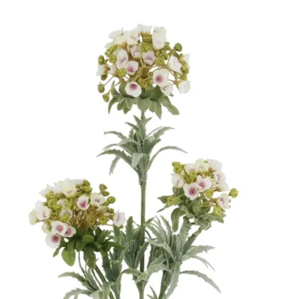 Home Smith Mountain Bloom Stems Home Smith Stems, Blooms & Branches