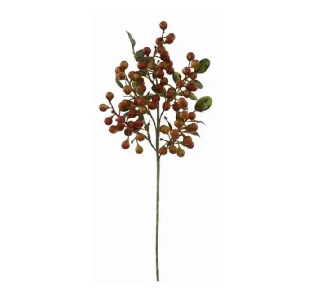 Home Smith Muscat Berry Short Stem in Rust Winward Stems, Blooms & Branches