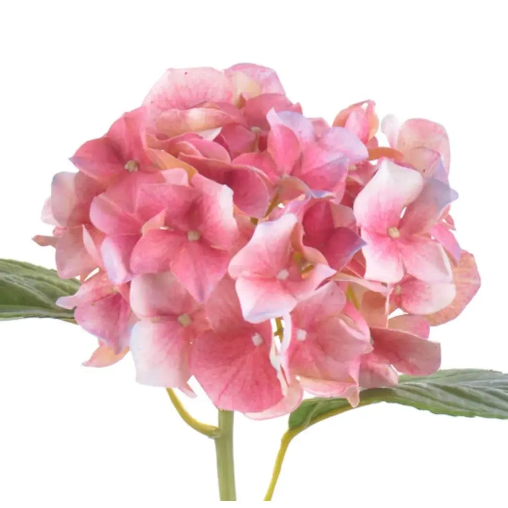 Natural Touch Hydrangea Stem - Dark Pink 18.5" - Home Smith