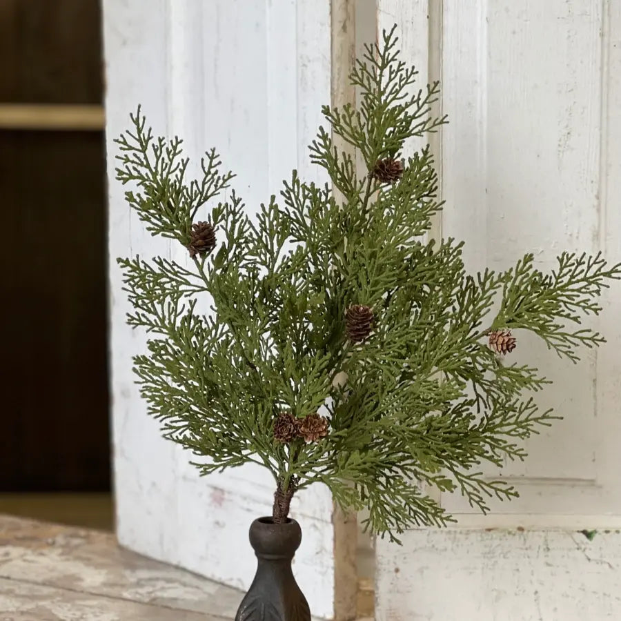 North Rim Hemlock Bush - Home Smith
