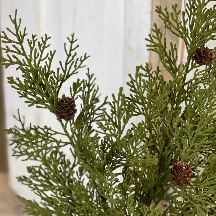 North Rim Hemlock Bush - Home Smith