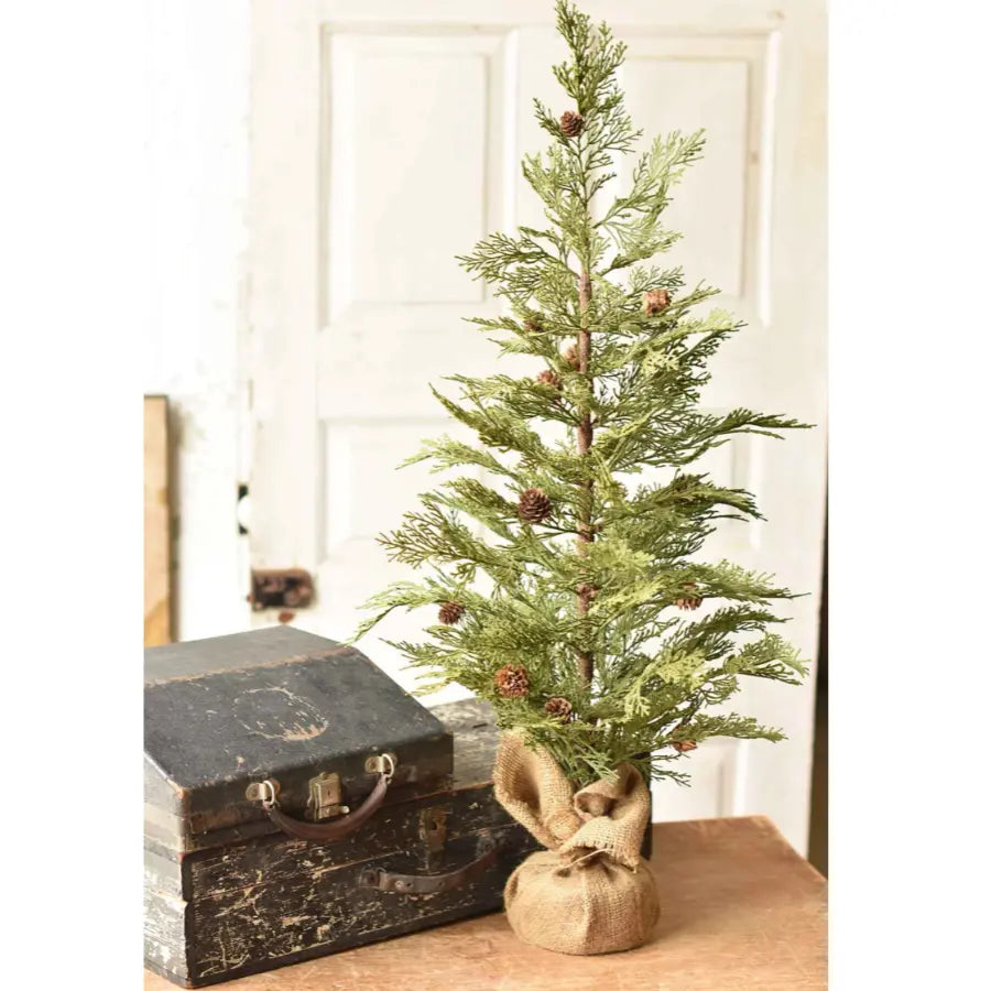 North Rim Hemlock Trees - Home Smith