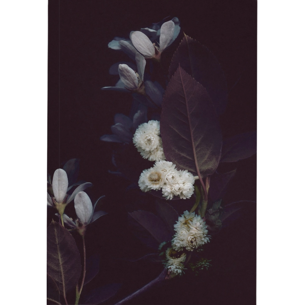 Close up of the Notebook Nocturne Bouquet at Home Smith