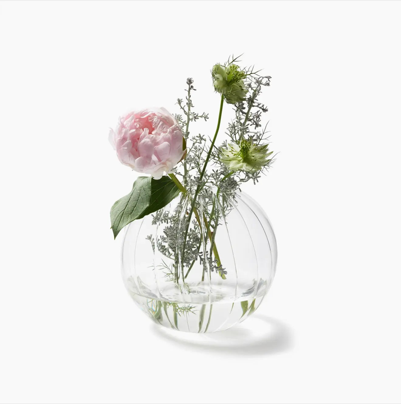 Optic Orb Ribbed Glass Vases - Home Smith