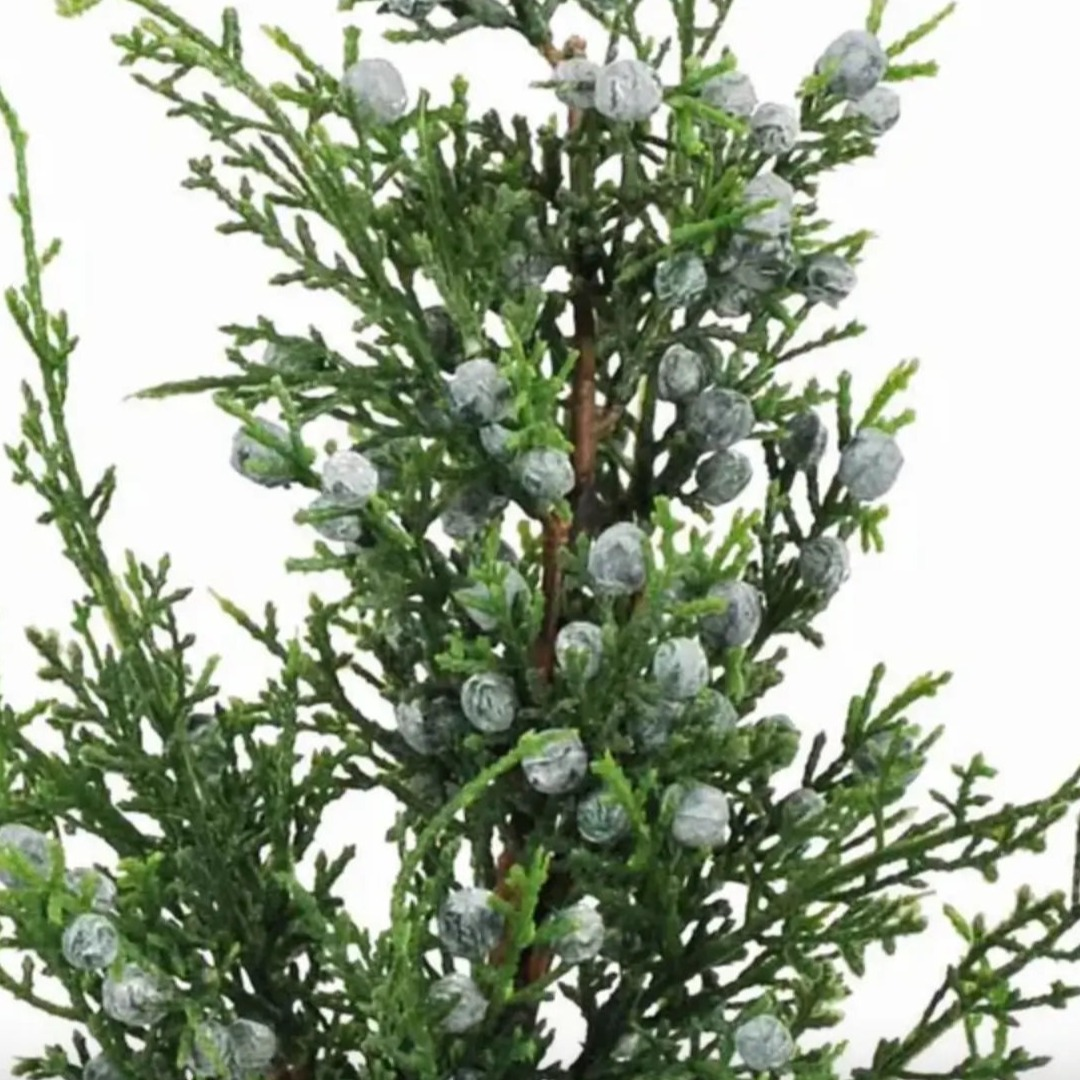 Home Smith Oregan Juniper Spray Winward Stems, Blooms & Branches
