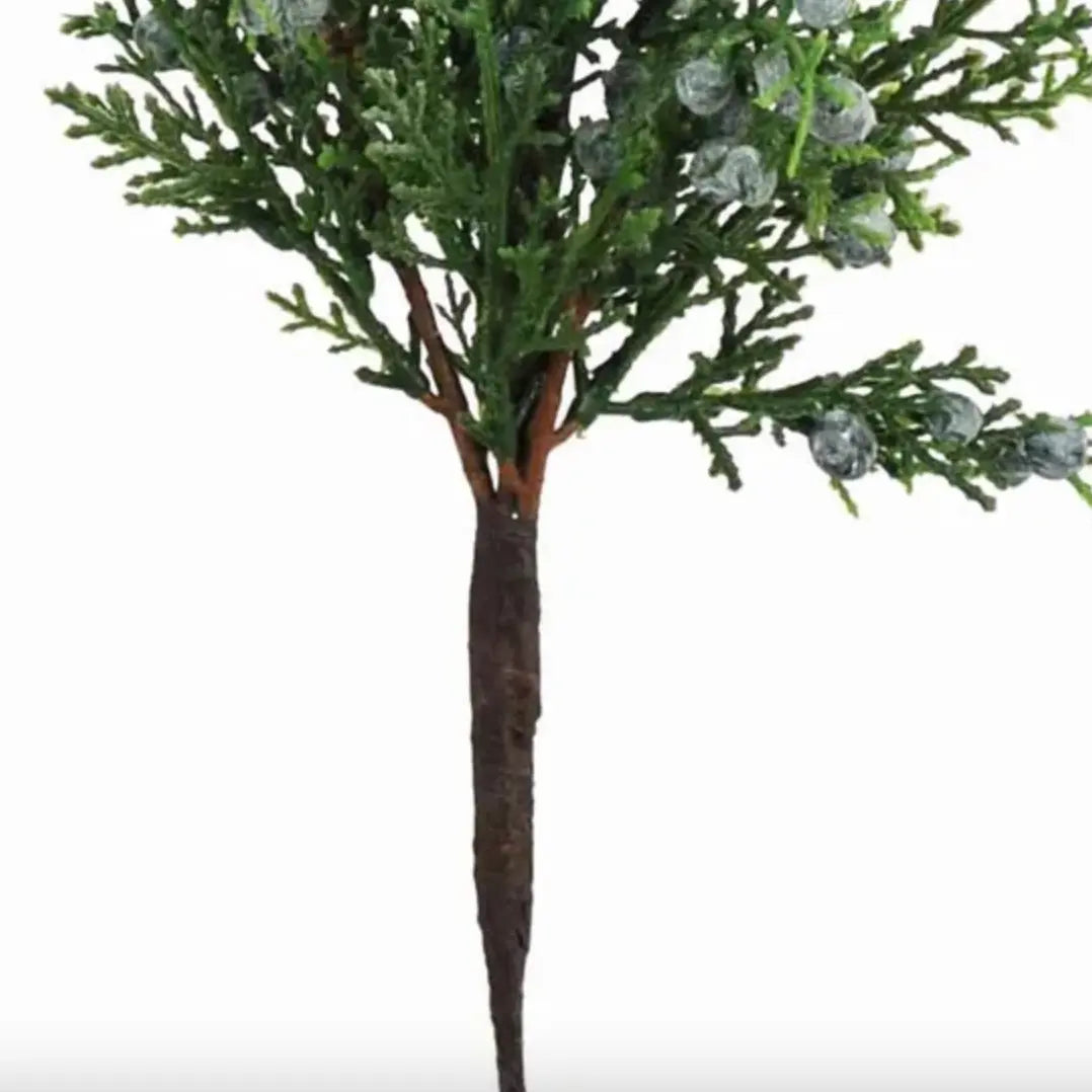Home Smith Oregan Juniper Spray Winward Stems, Blooms & Branches
