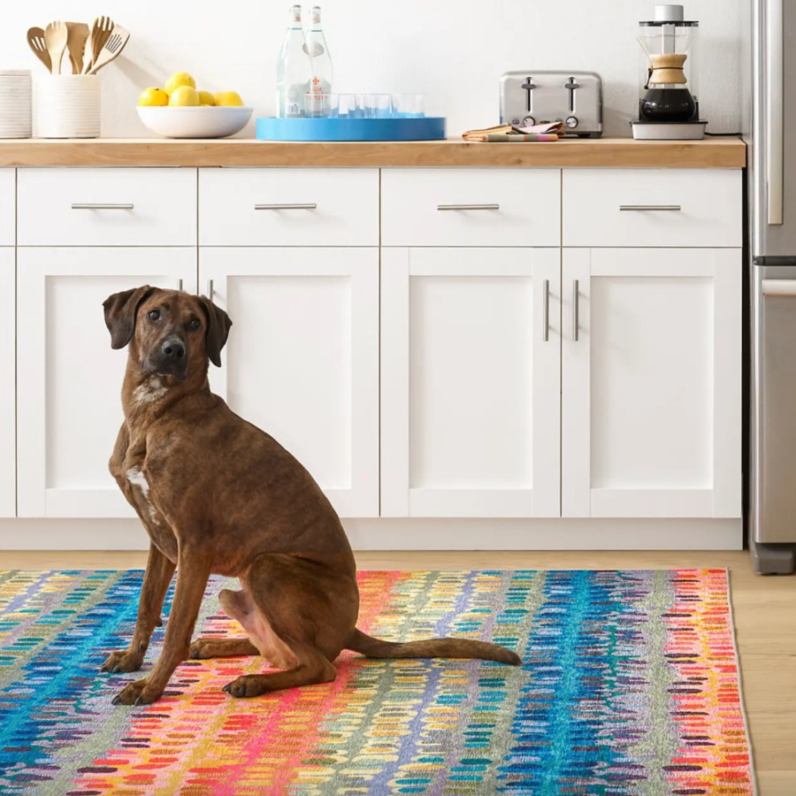 Home Smith Paint Chip Multi Machine Washable Rug Dash & Albert Rugs - Washable