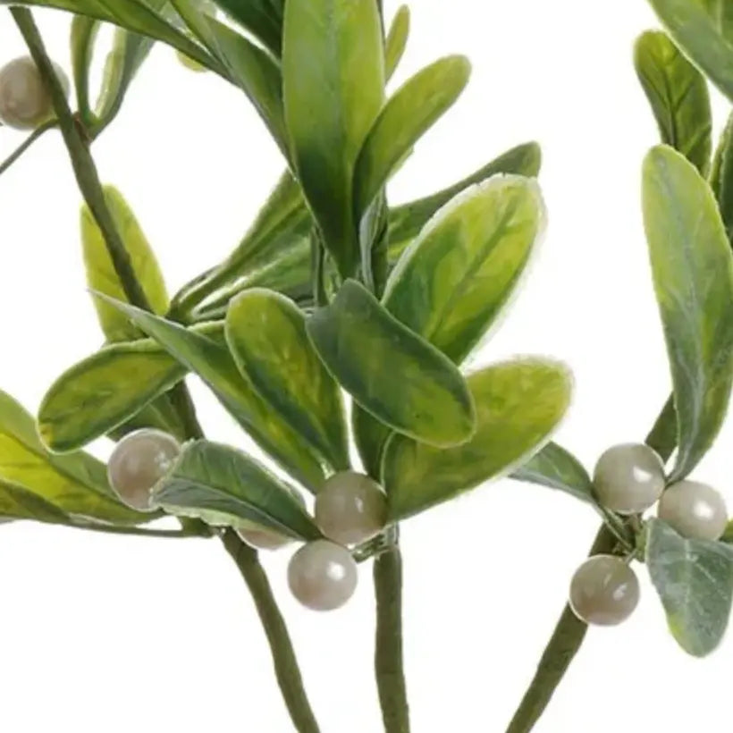 Home Smith Pearl Mistletoe Bundle Winward Stems, Blooms & Branches