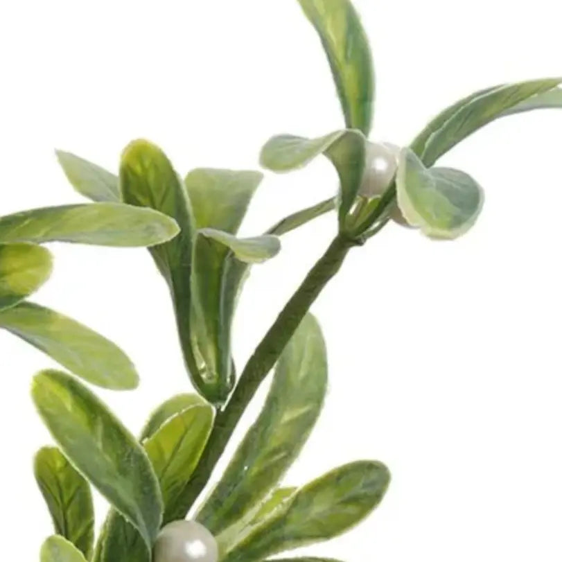 Home Smith Pearl Mistletoe Bundle Winward Stems, Blooms & Branches