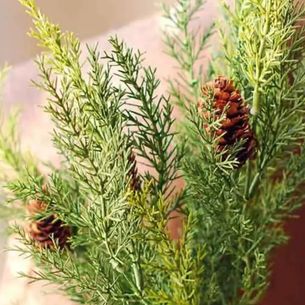 Prickly Pine Bush Pick with Cones - Home Smith