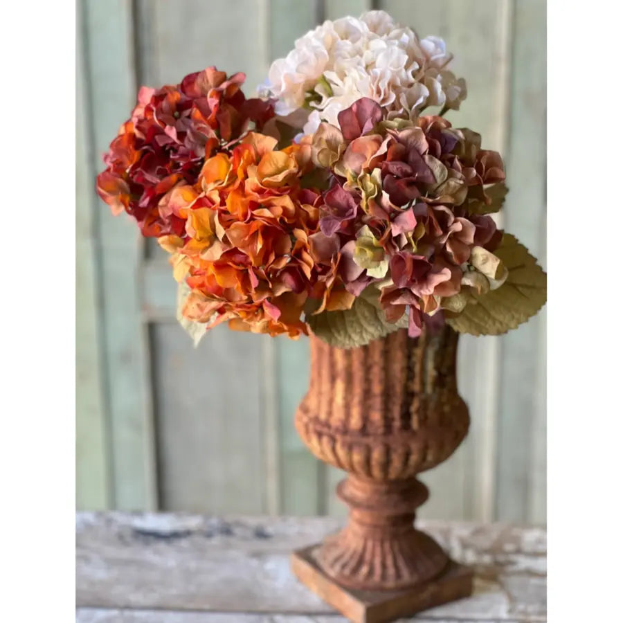 Home Smith Rapture Hydrangeas Lancaster Home Stems, Blooms & Branches