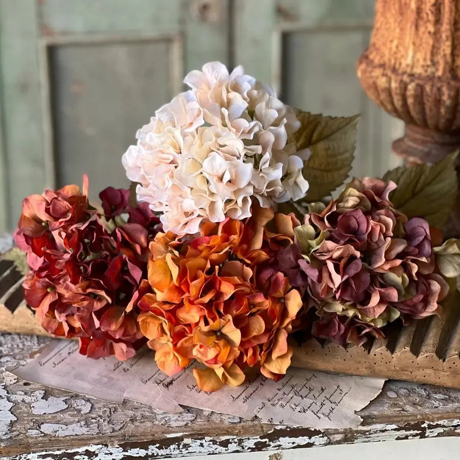 Home Smith Rapture Hydrangeas Lancaster Home Stems, Blooms & Branches
