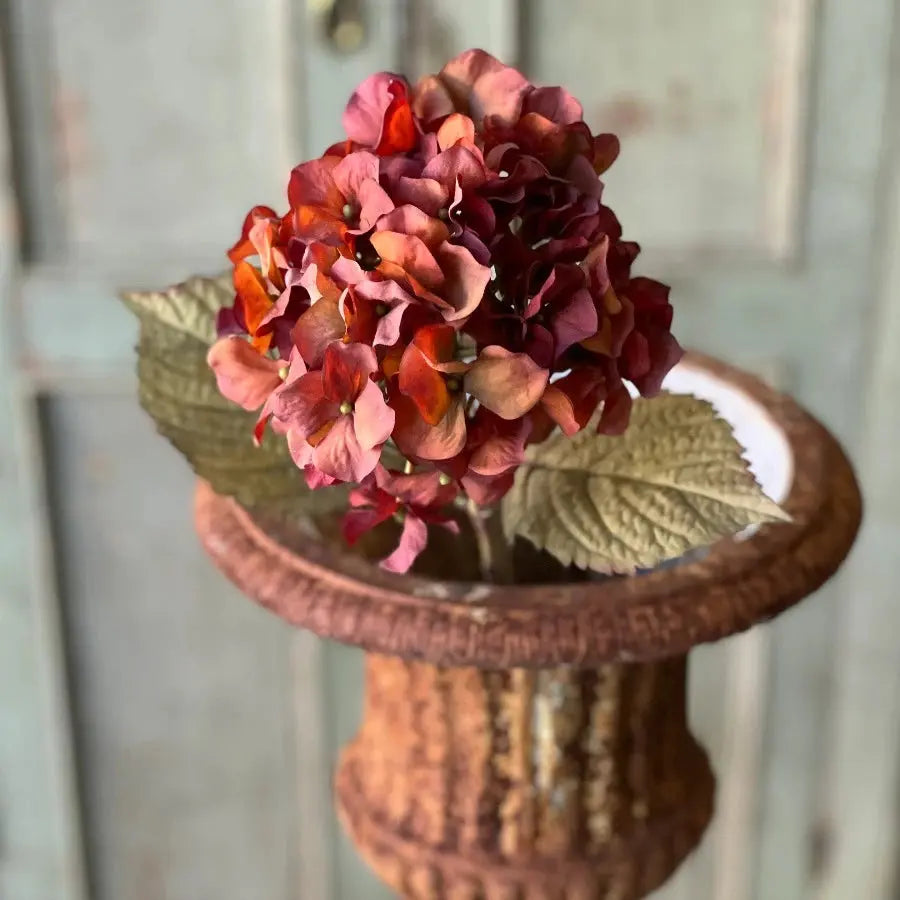 Home Smith Rapture Hydrangeas Lancaster Home Stems, Blooms & Branches