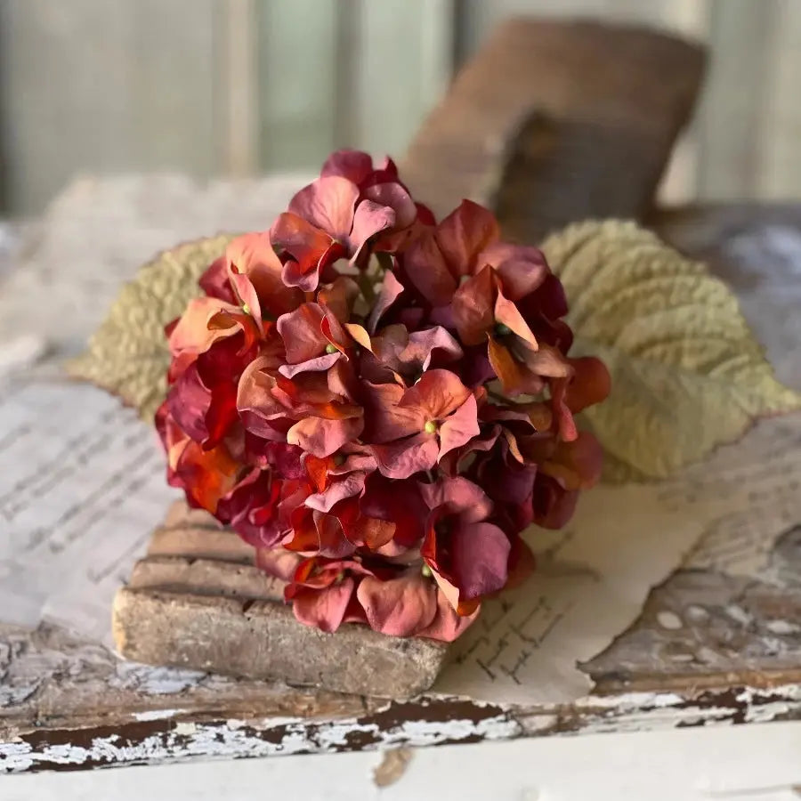 Home Smith Rapture Hydrangeas Lancaster Home Stems, Blooms & Branches
