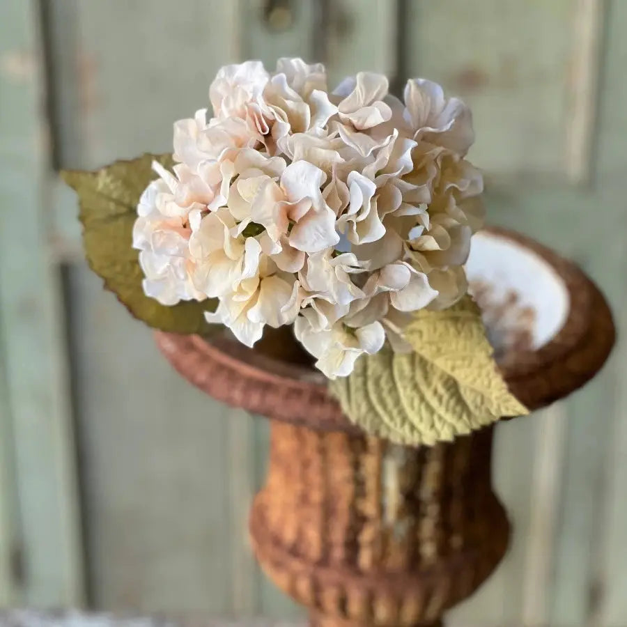 Home Smith Rapture Hydrangeas Lancaster Home Stems, Blooms & Branches
