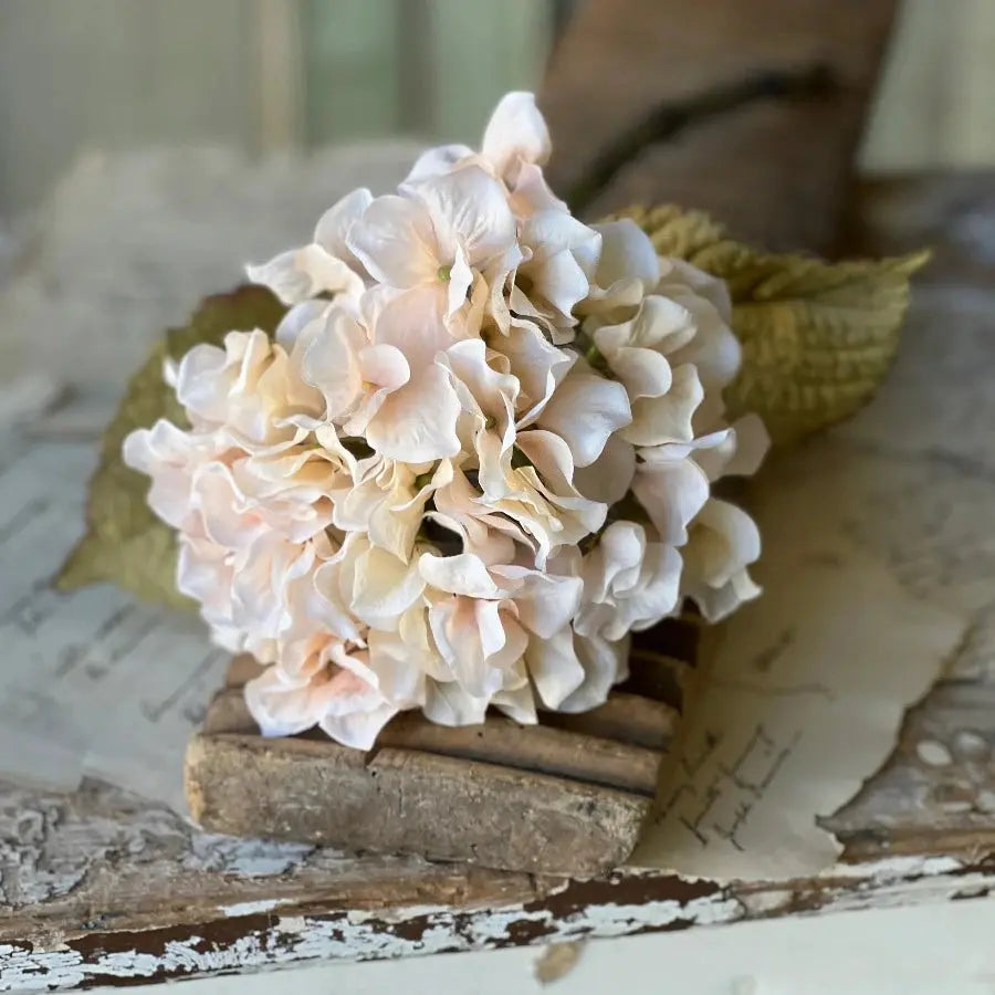 Home Smith Rapture Hydrangeas Lancaster Home Stems, Blooms & Branches