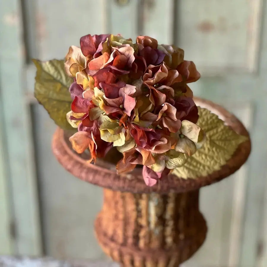 Home Smith Rapture Hydrangeas Lancaster Home Stems, Blooms & Branches