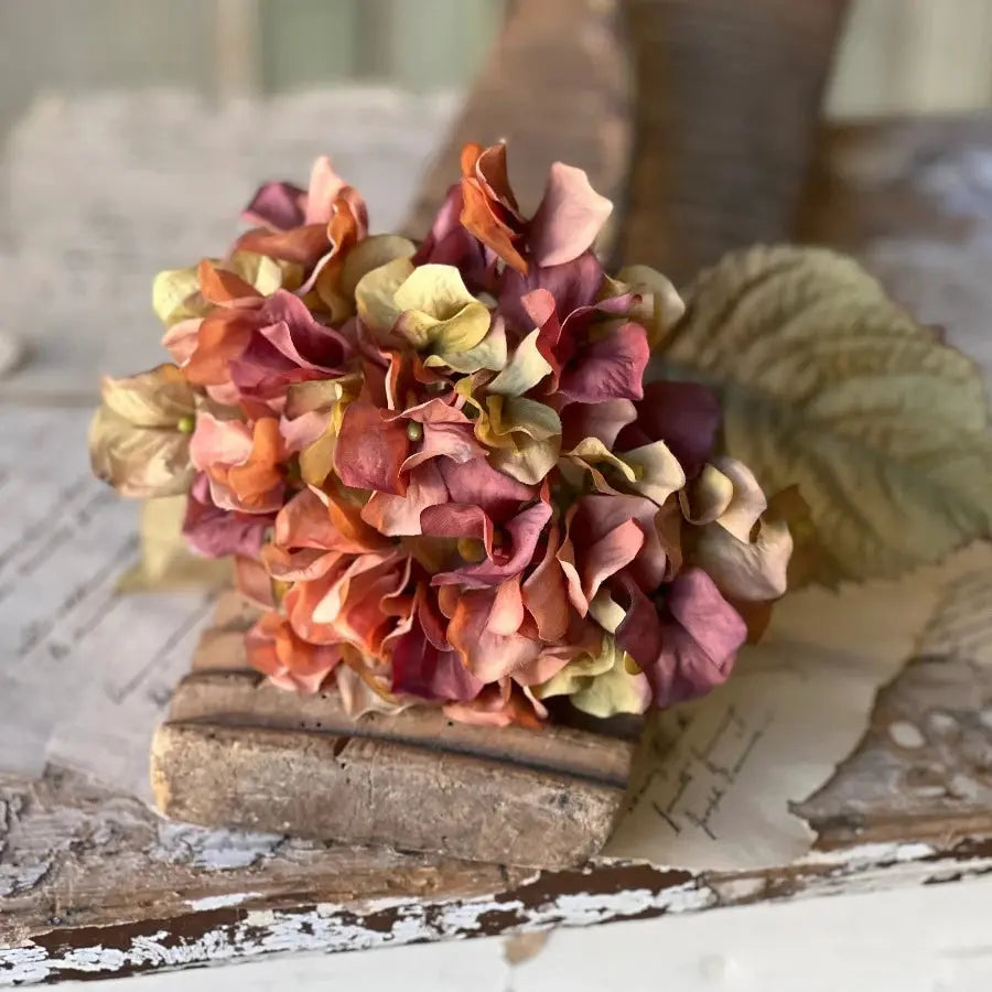 Home Smith Rapture Hydrangeas Lancaster Home Stems, Blooms & Branches