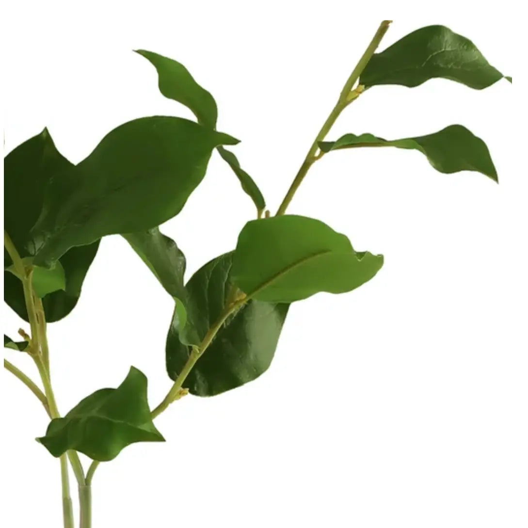 Home Smith Salal Leaf Branch Winward Stems, Blooms & Branches