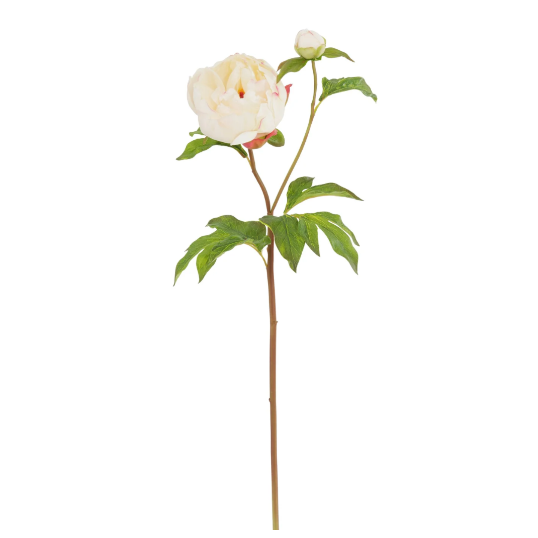 Cream Wine Faux Peony Stem at Home Smith
