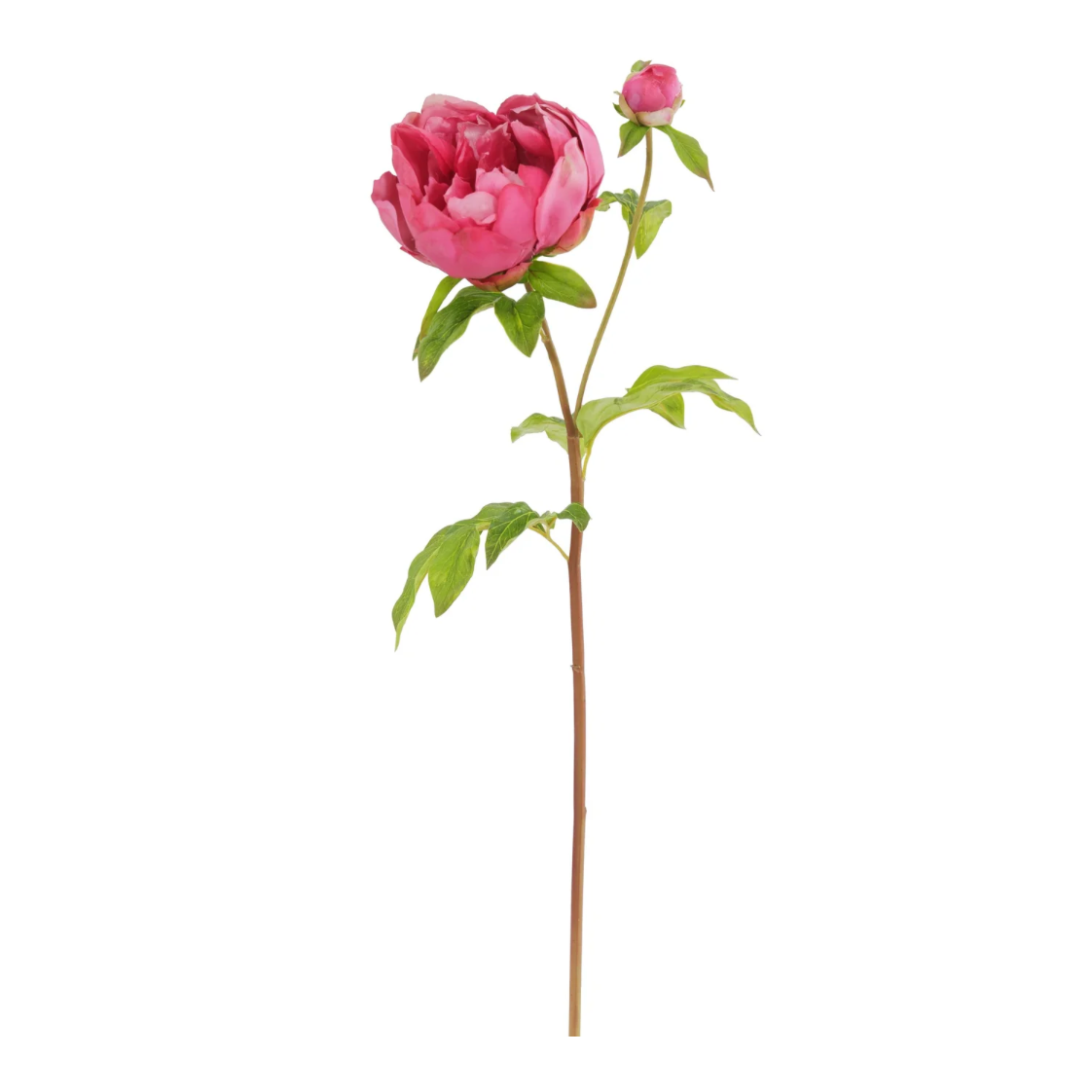 Fushia Pink Faux peony stem at Home SMith