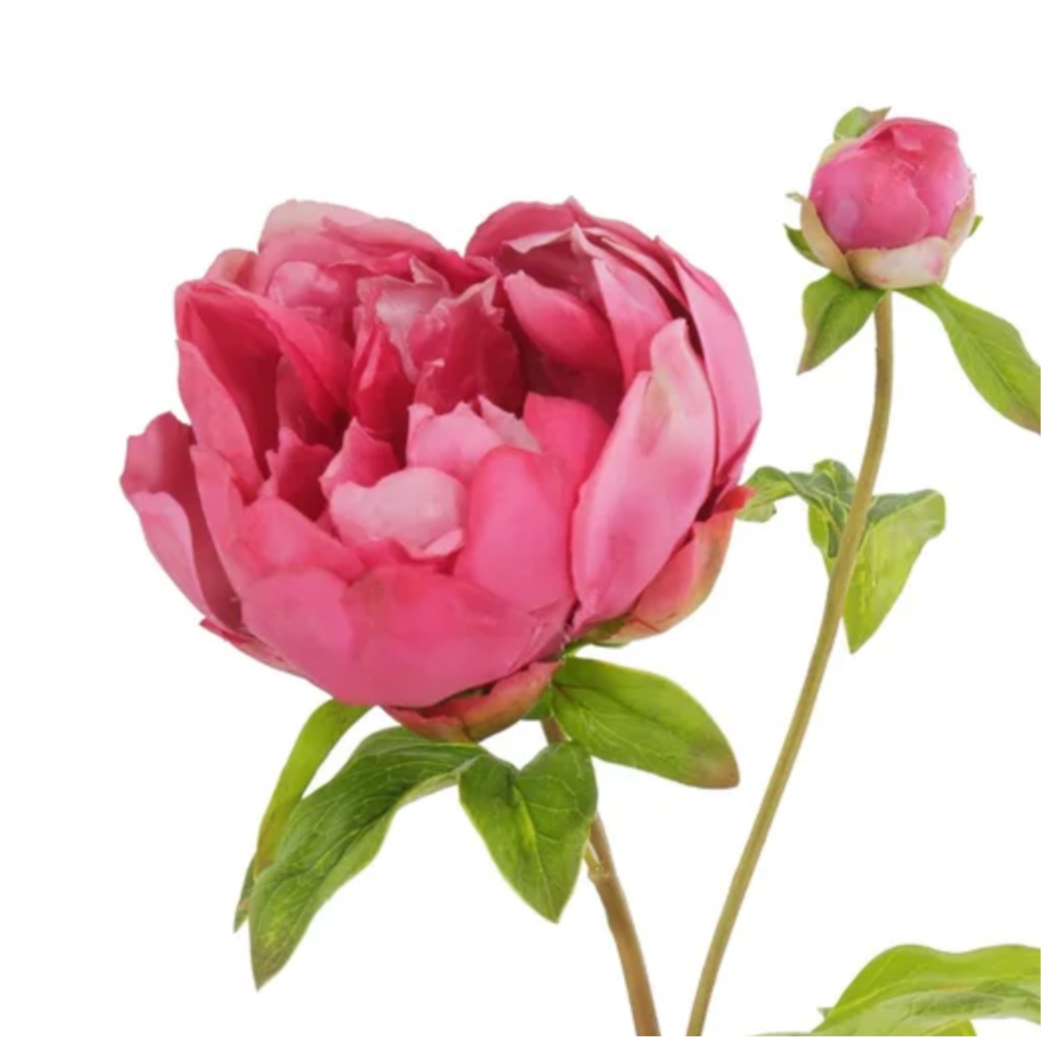Fushia Pink Peony Stem at Home Smith