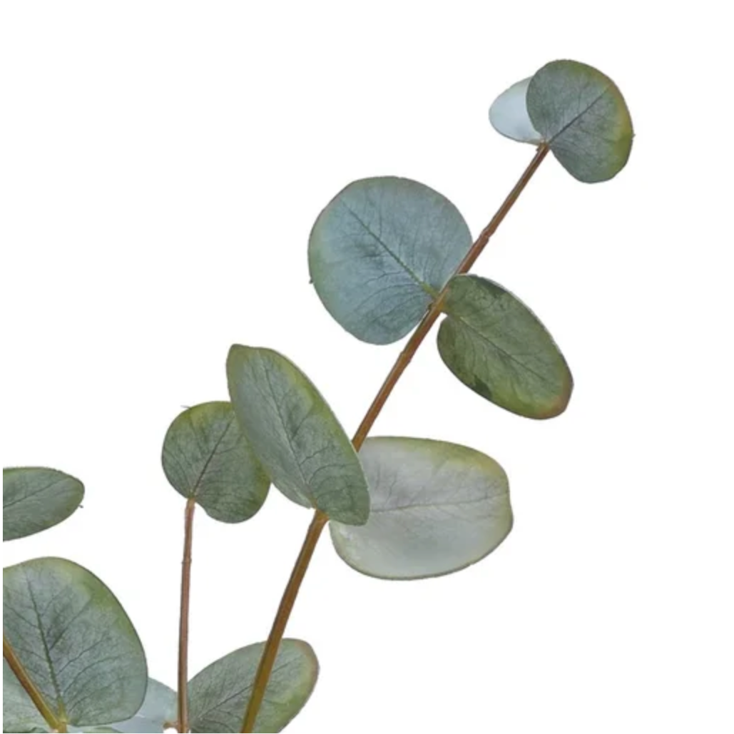 Eucalyptus Stem Faux in Green at Home Smith