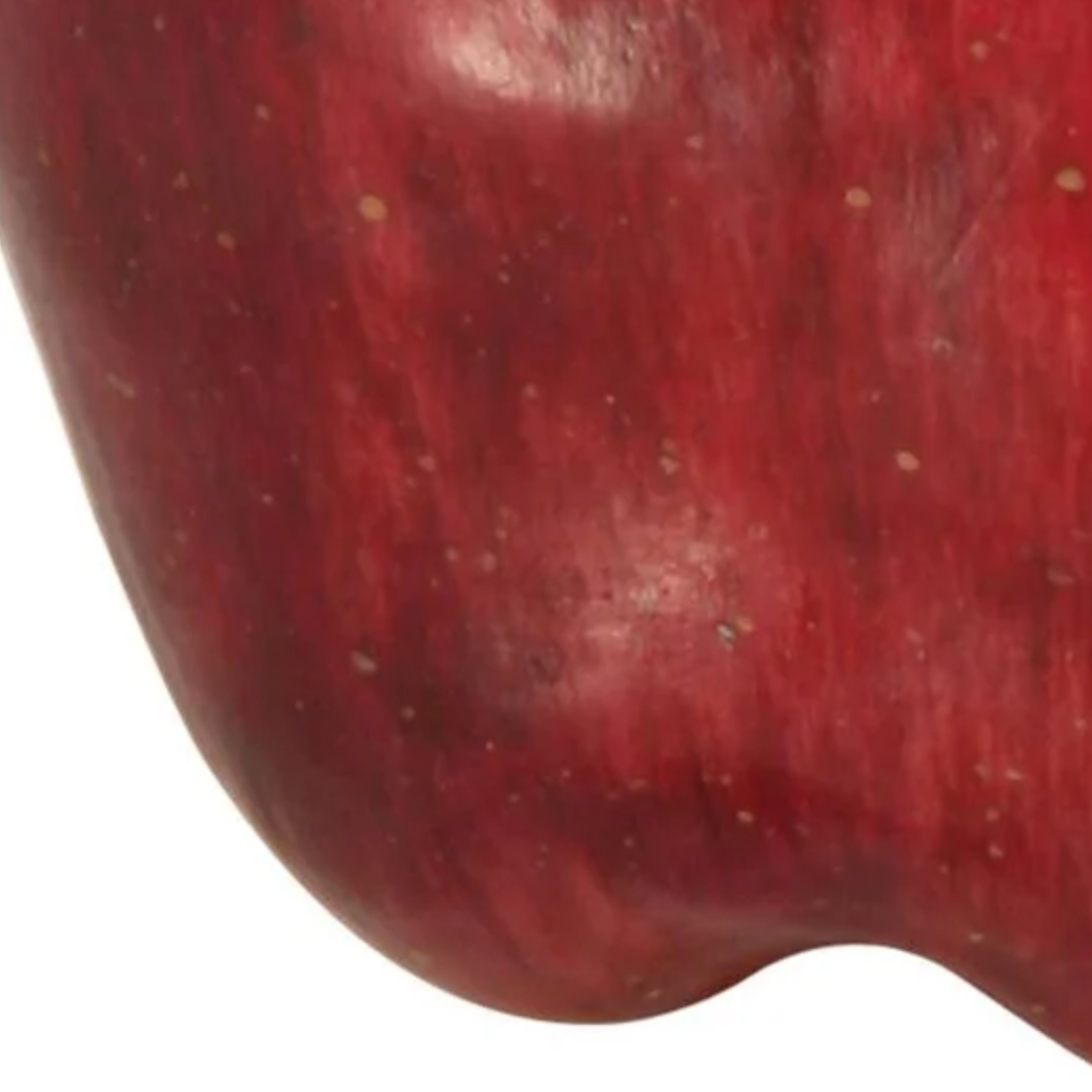 faux fruit apple at Home Smith