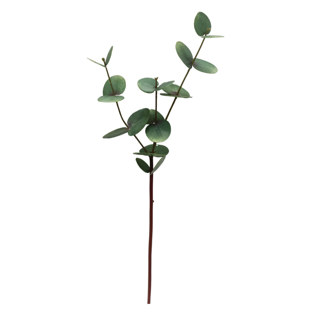 faux eucalyptus stem at Home SMith