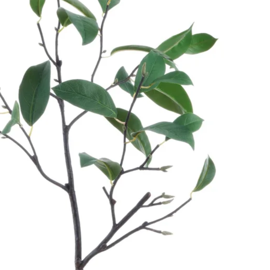 Faux Laurel Leaf Branch at Home Smith