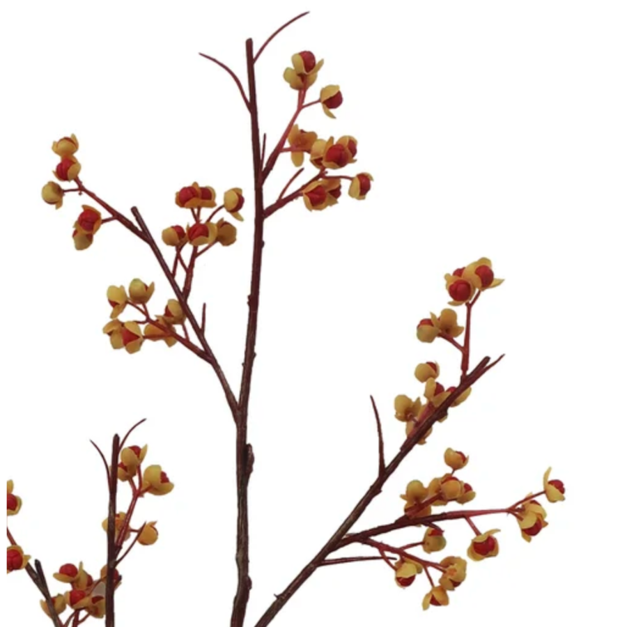 Bittersweet Berry Branch 30.5'' at Home Smith