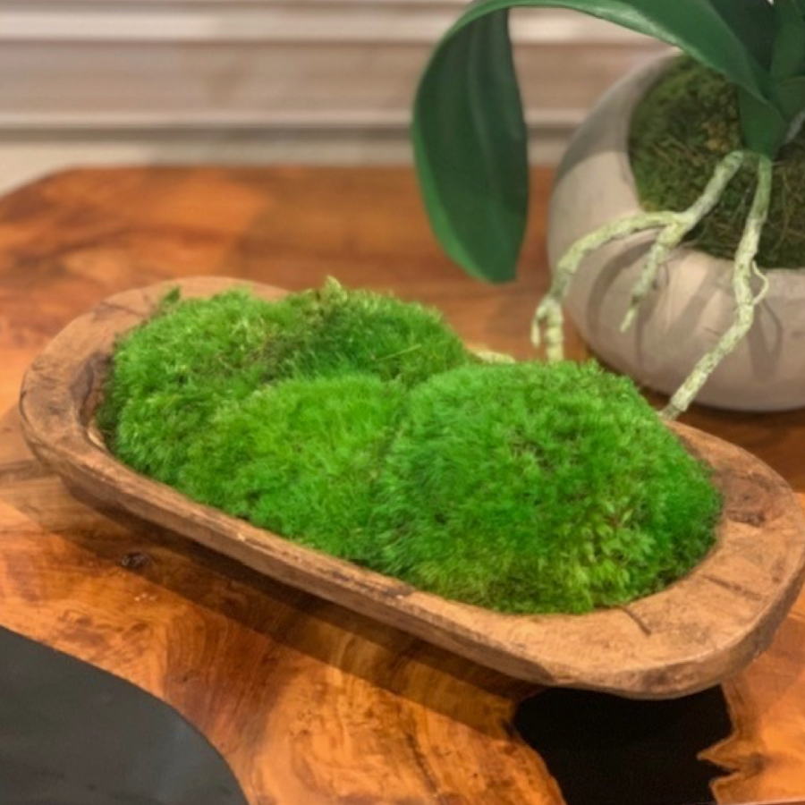 Petite Wooden Dish with naturally preserved moss at Home Smith