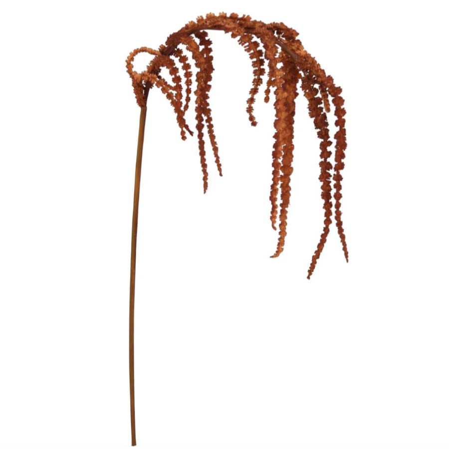 Amaranthus Hanging Spray at Home Smith