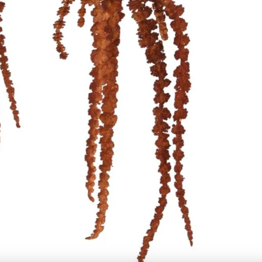 Amaranthus Hanging Spray at Home Smith