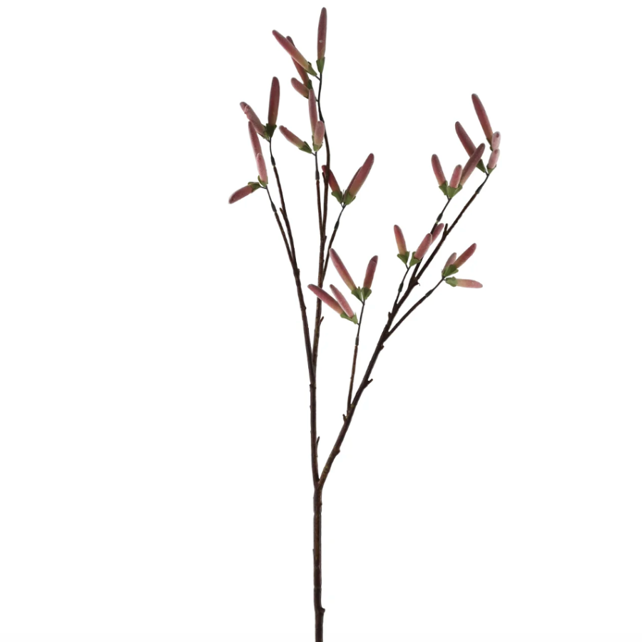 Charadom Red Beans Stem at Home Smith