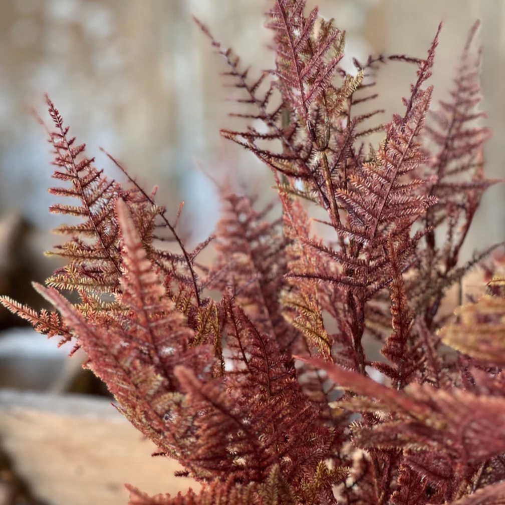 Faux Fern in Bordeaux at Home smith