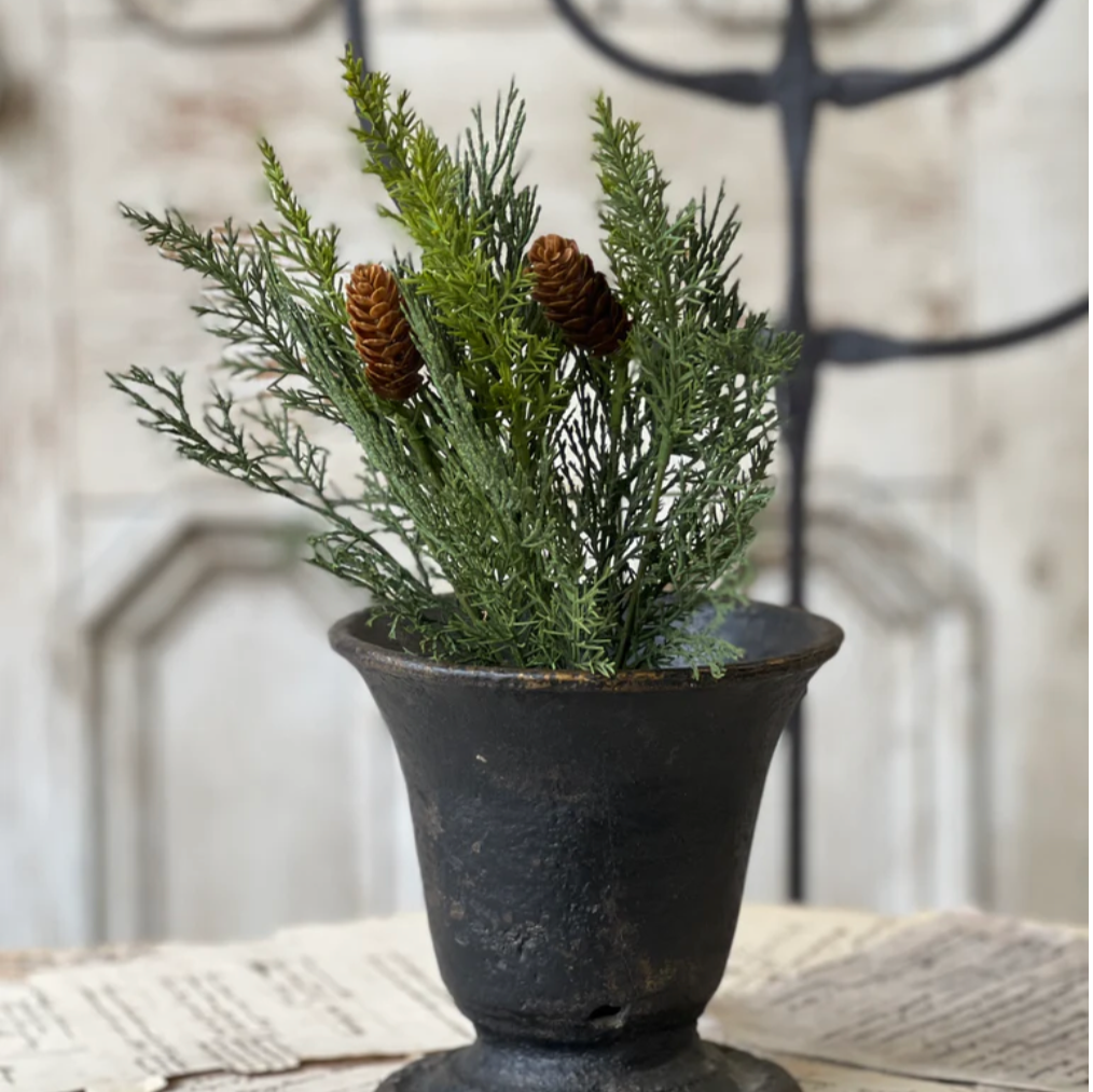 Advent Greens mixed cedar pick at Home SMith