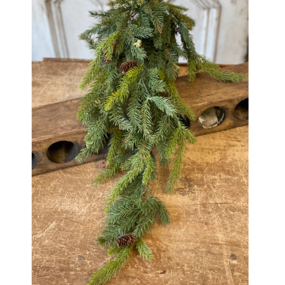 White Spruce Pine Hanging with Pine Cones at Home Smith