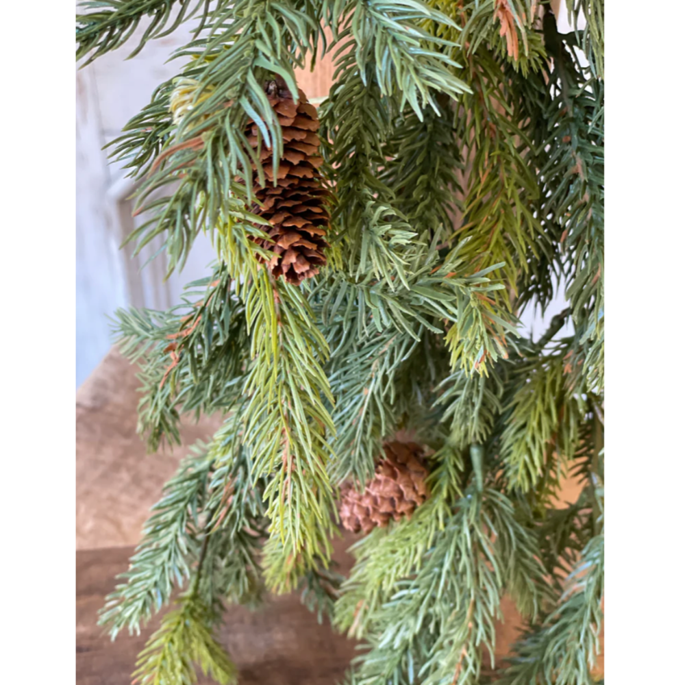 Detail of White spruce pine hanging at Home Smith