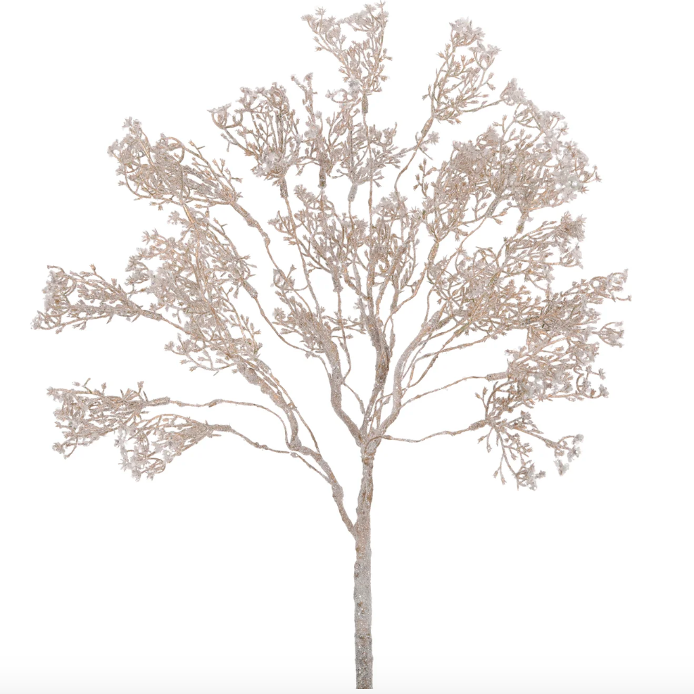 Baby's breath snow bush in platinum at Home Smith