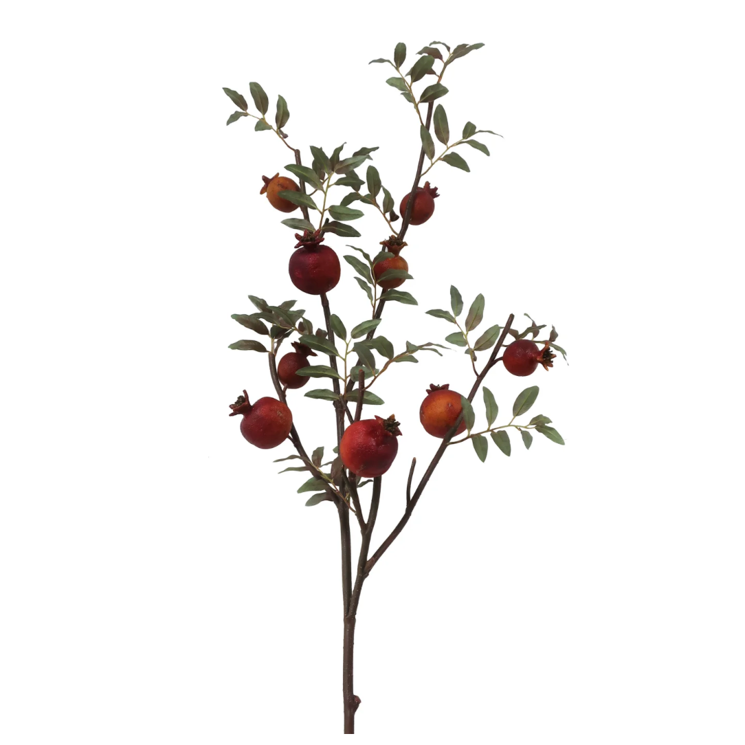 dried pomegranate branch at Home smith