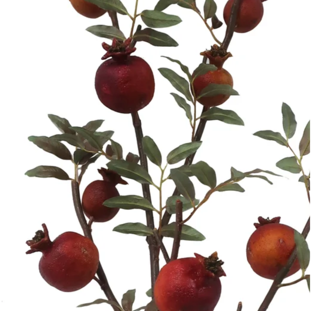 Detail of dried pomegranate branch at Home Smith