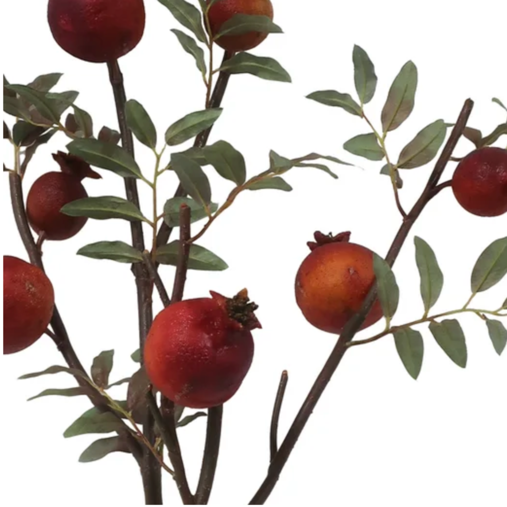 Detail of dry pomegranate branch at Home Smith