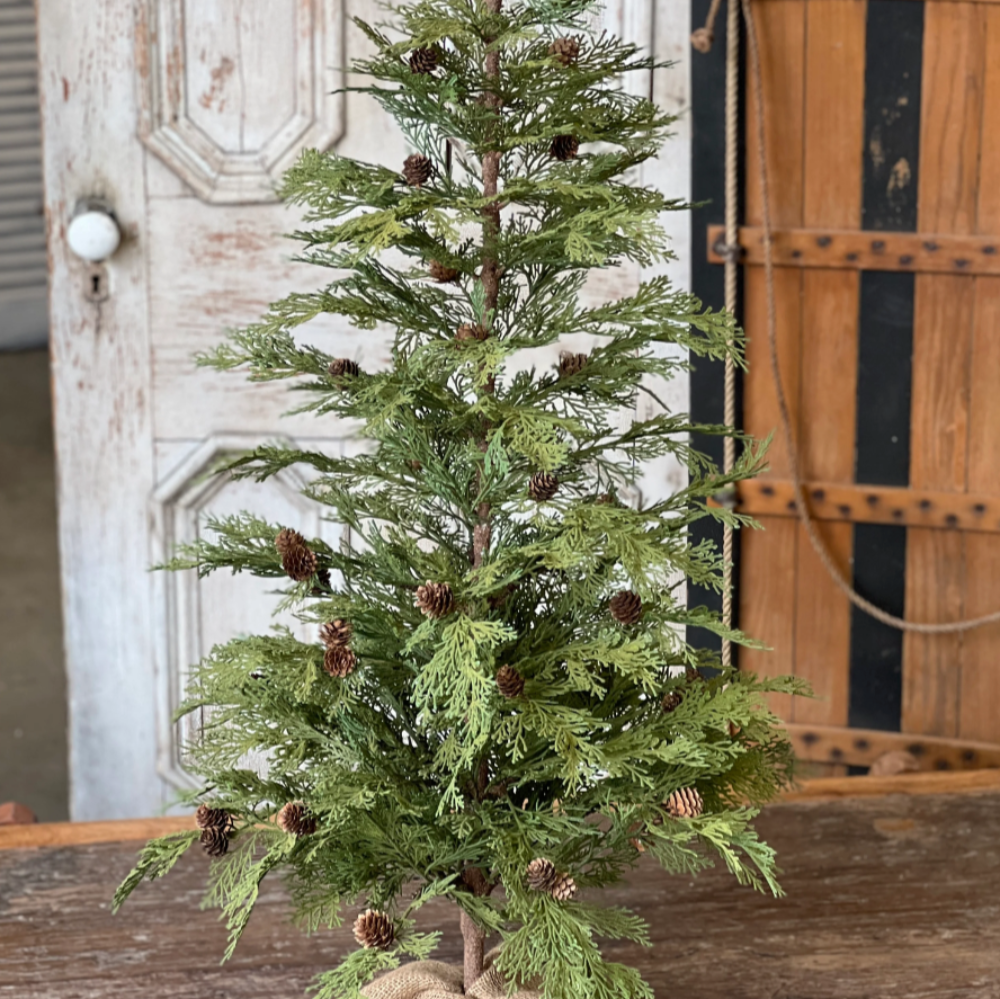 North Rim Hemlock Trees - Home Smith