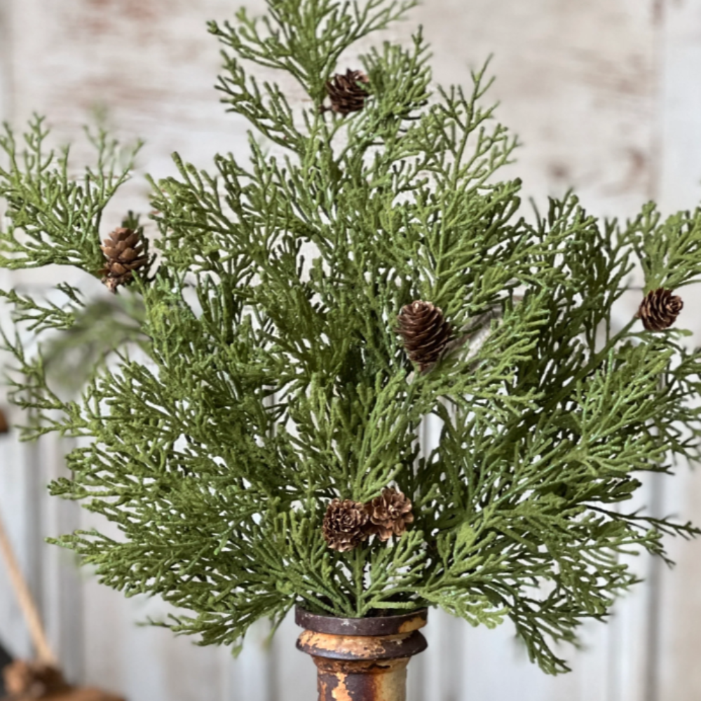 North Rim Hemlock Bush - Home Smith