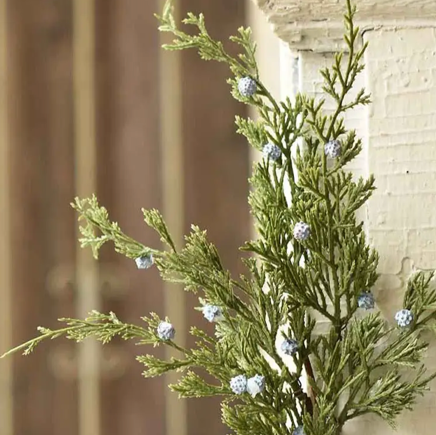 Winter Blues Juniper Pick - Home Smith