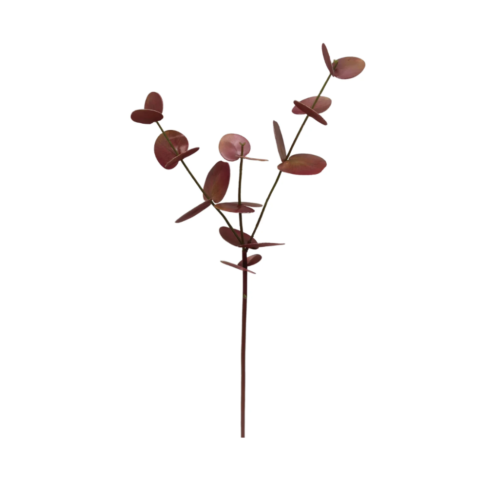 Small eucalyptus branch in Deep Rust from Winward at Home Smith