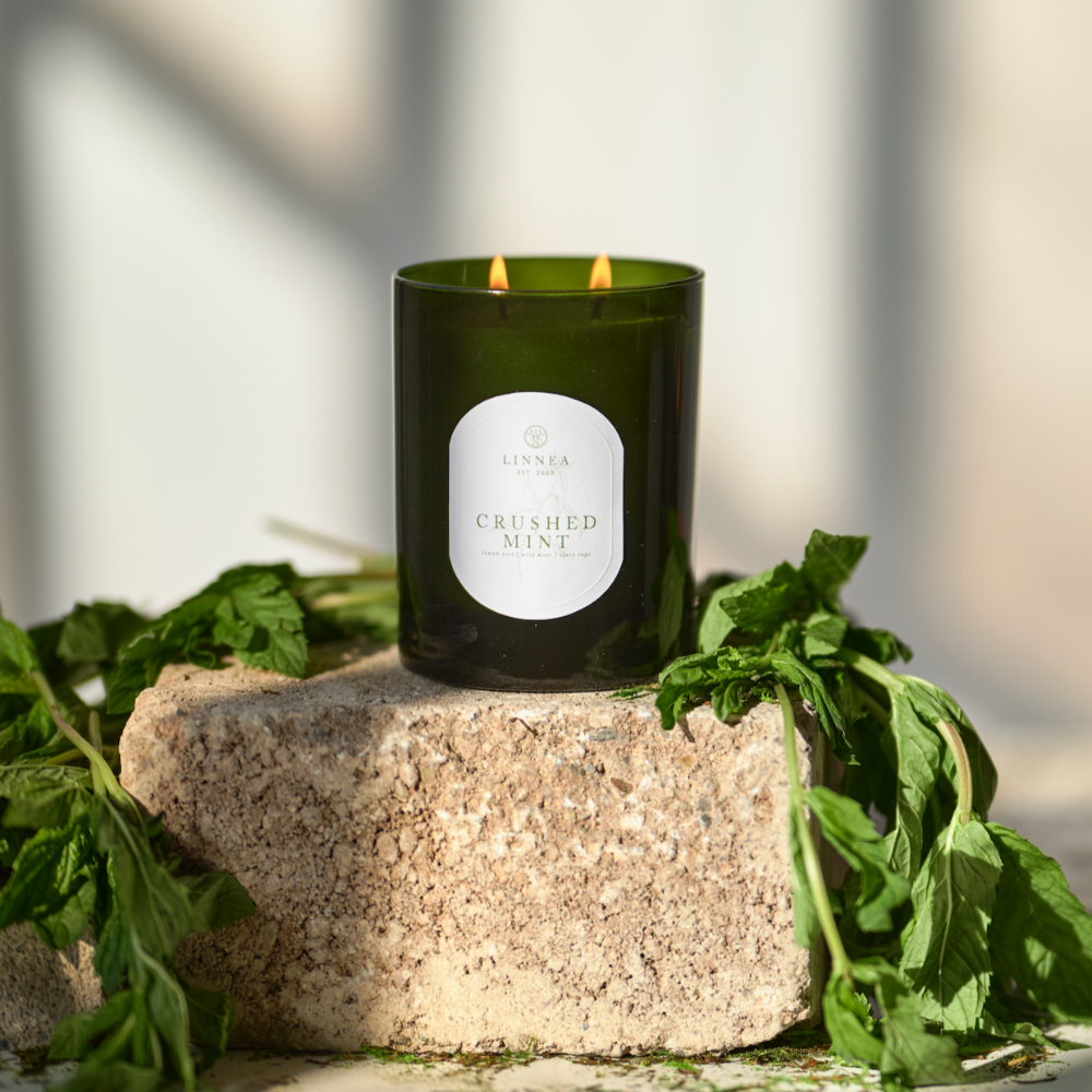 Linnea Soy Scented Candle in Crushed Mint at Home Smith
